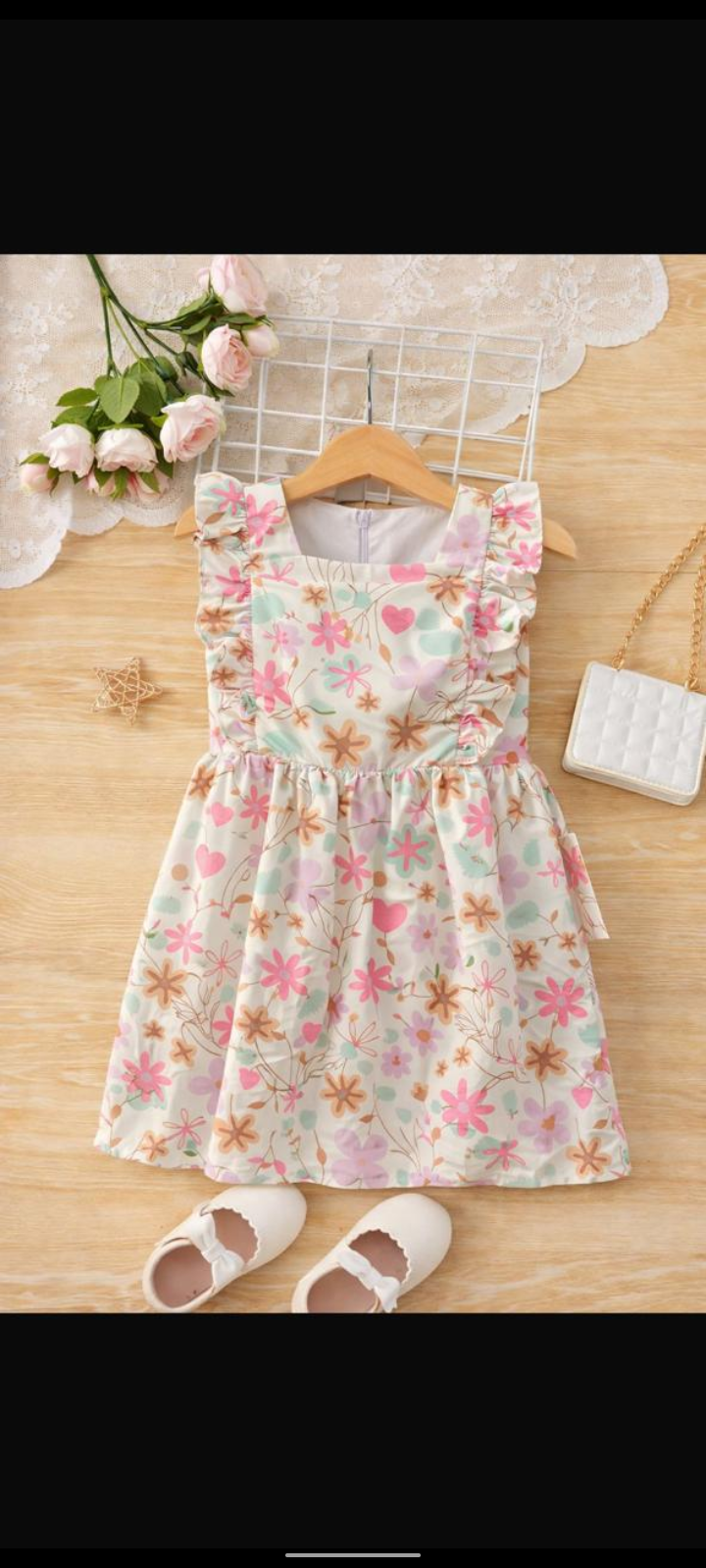 دريس نابولي